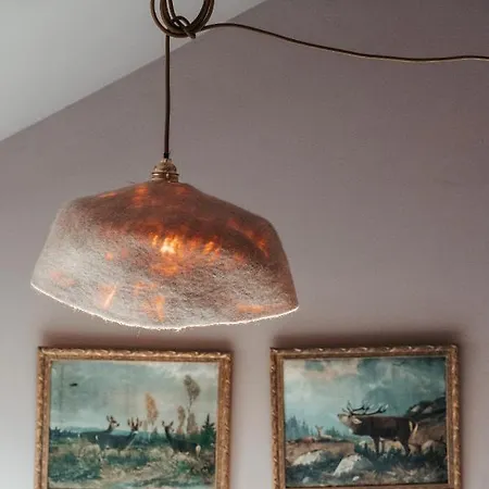Bed & Breakfast Le De Plainpalais